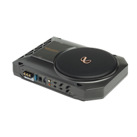 BassLink SM2