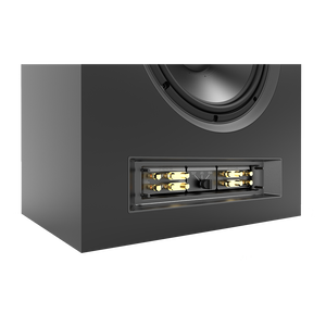 SCL-1 - Black - 2-Way Dual 12-inch (300mm) Custom LCR Loudspeaker - Detailshot 3