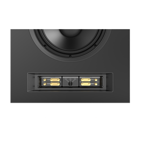 SCL-1 - Black - 2-Way Dual 12-inch (300mm) Custom LCR Loudspeaker - Detailshot 4