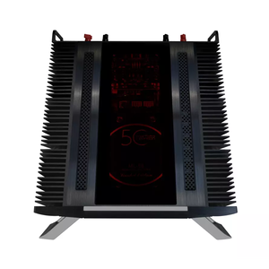 ML-50 - Black - Limited-edition Monaural Amplifier - Detailshot 5