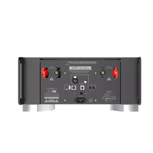 ML-50 - Black - Limited-edition Monaural Amplifier - Back
